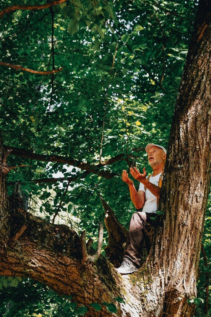 8561E997-D77B-4BB5-8F42-DD39BEC832B8_1_105_c